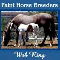 Paint Horse Breeders Web Ring